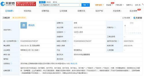 青藤文化深圳成立新公司，拓展互联网销售与网络文化经营领域